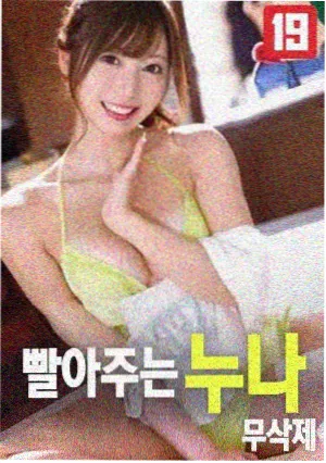 我的野蛮女友 电影海报